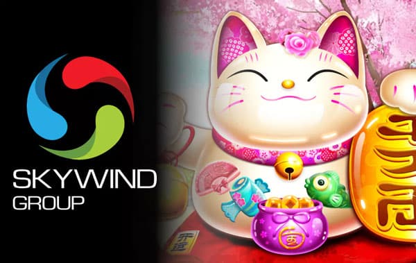 SKYWINDGROUB